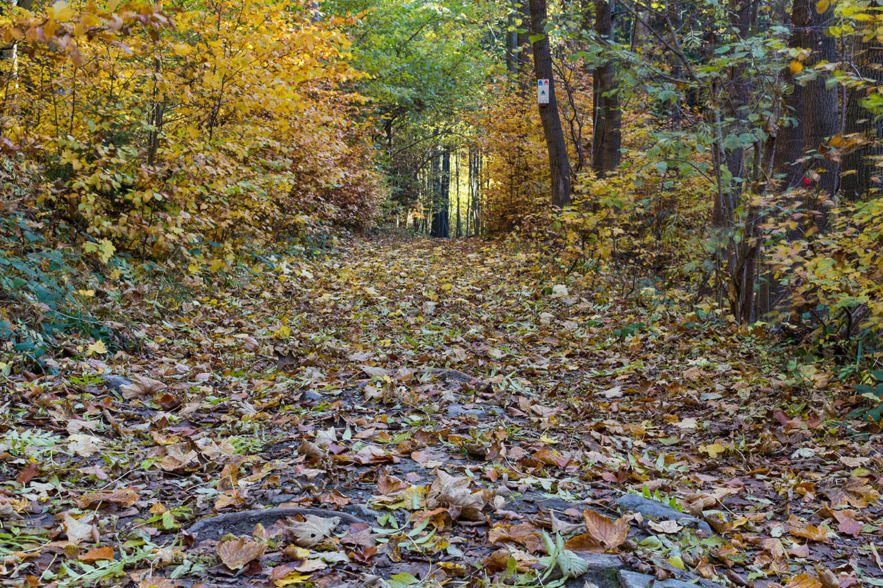 Fall hiking near Maple Lakes Campground in Ohio